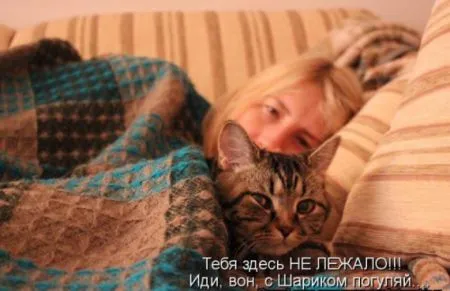 КотоМатрицы