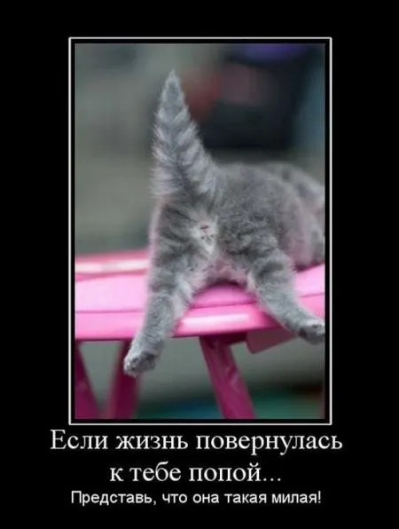 30 демотиваторов дня