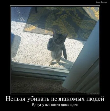 30 демотиваторов дня