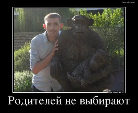 30 демотиваторов дня