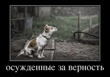 30 демотиваторов дня