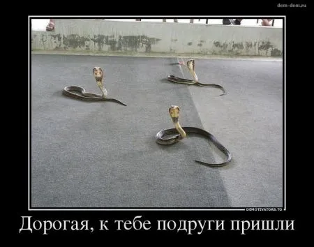 30 демотиваторов дня