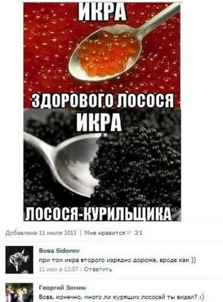 Забавные комментарии из соцсетей