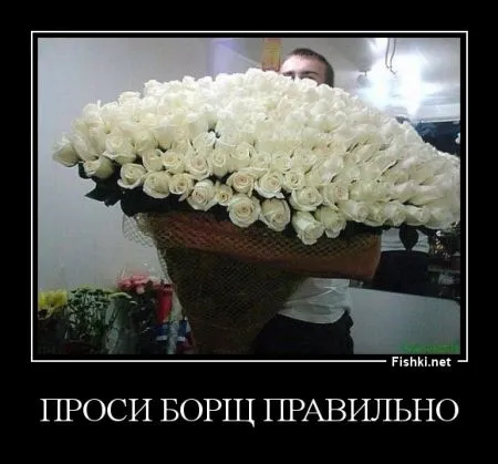 Демотиваторы и снова БОРЩ