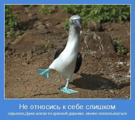 Мотиваторы идём по проложенному пути