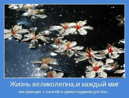 Мотиваторы идём по проложенному пути