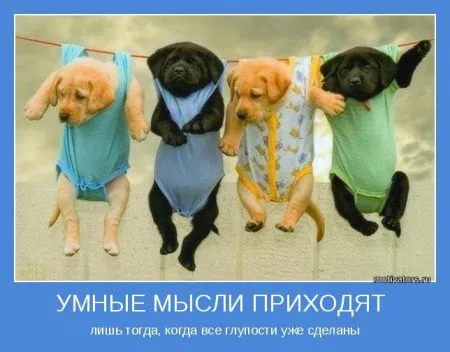 Мотиваторы идём по проложенному пути