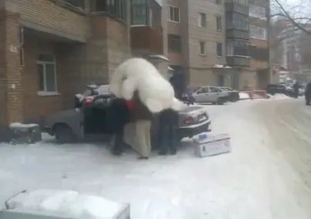 Мы грузили медведя