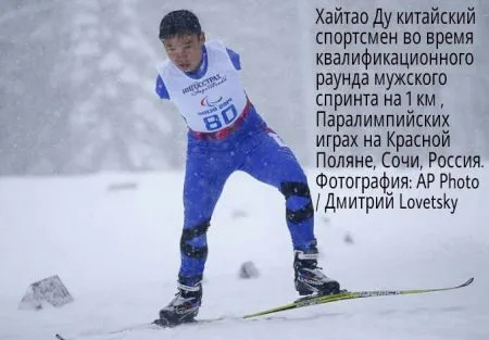 События из мира людей в виде фотографий
