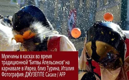 События из мира людей в виде фотографий