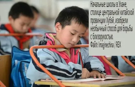 События из мира людей в виде фотографий