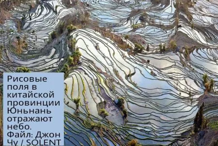 События из мира людей в виде фотографий