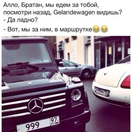 Прикольные картинки залог хорошего настроения