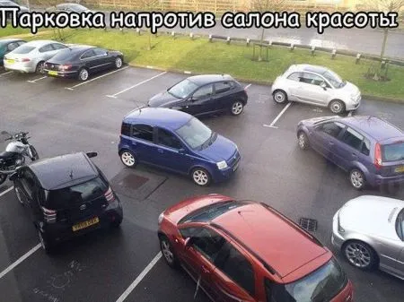 Прикольные картинки залог хорошего настроения