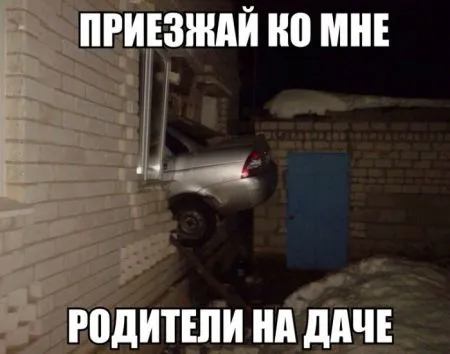Прикольные картинки залог хорошего настроения