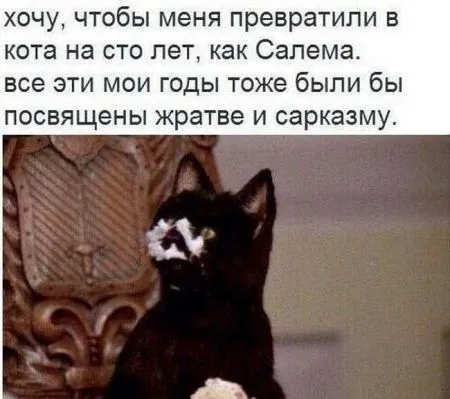 Прикольные картинки залог хорошего настроения