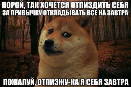 Прикольные картинки залог хорошего настроения
