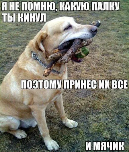 Прикольные картинки залог хорошего настроения