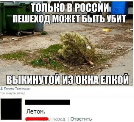 Прикольные картинки залог хорошего настроения