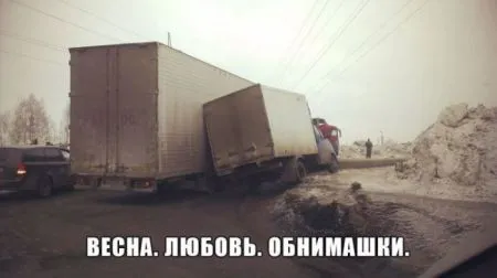 Прикольные картинки залог хорошего настроения