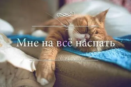 Прикольные картинки залог хорошего настроения