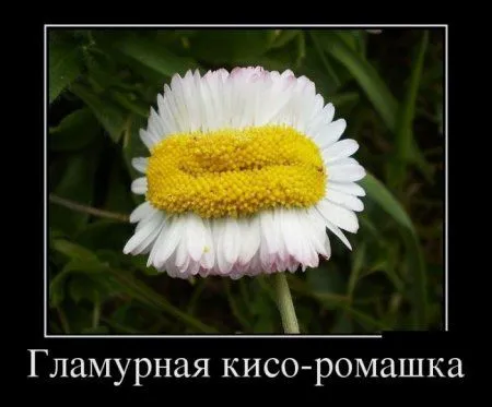 Сохраняй хорошое настроение, Смотри демотиваторы Сохраняй хорошое настроение, Смотри демотиваторы
