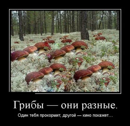 Сохраняй хорошое настроение, Смотри демотиваторы Сохраняй хорошое настроение, Смотри демотиваторы