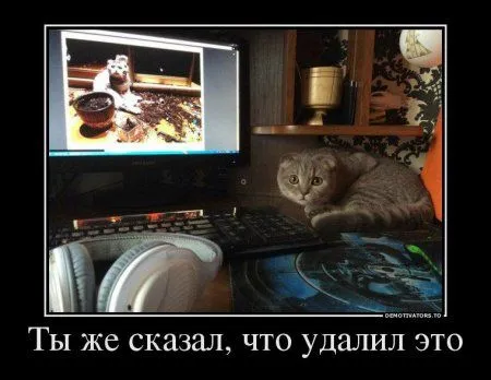 Демомотиваторы, тут у нас свои причуды Демомотиваторы, тут у нас свои причуды