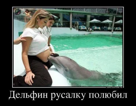 Демомотиваторы, тут у нас свои причуды Демомотиваторы, тут у нас свои причуды