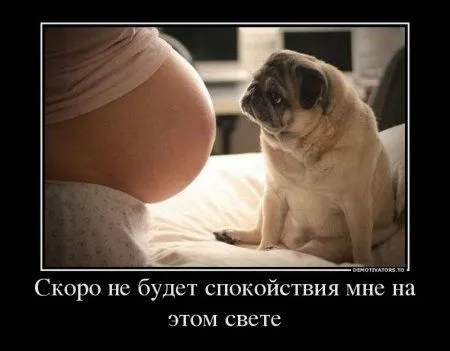 Демомотиваторы, тут у нас свои причуды Демомотиваторы, тут у нас свои причуды