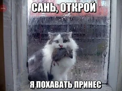 Приколы, много смешной писанины Приколы, много смешной писанины