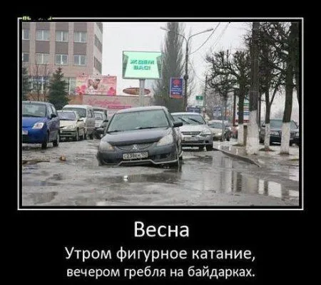 Фото приколы, просто впитываем позитив Фото приколы, просто впитываем позитив