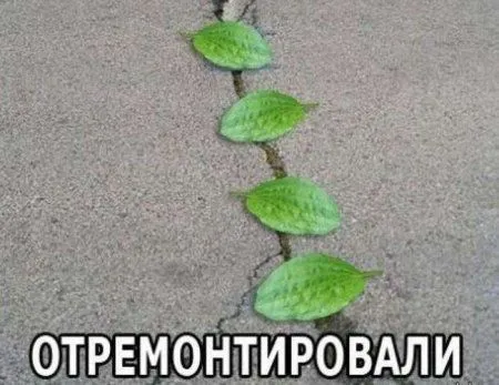 Фото приколы, просто впитываем позитив Фото приколы, просто впитываем позитив