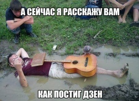 Всякие забавности, приколы на фото