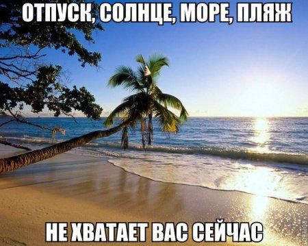 Всякие забавности, приколы на фото