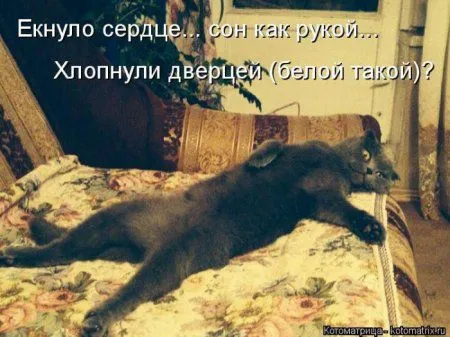 Котоматрица недели Котоматрица недели