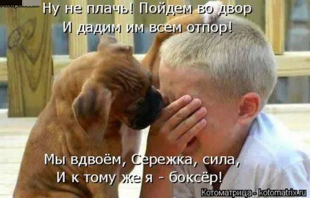 Котоматрица недели Котоматрица недели