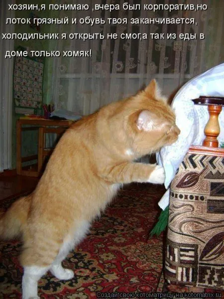 Котоматрица недели Котоматрица недели