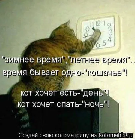 Котоматрица недели Котоматрица недели