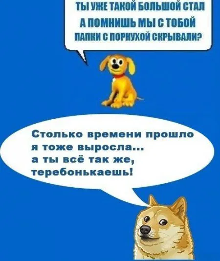 Для твоего огромного позитивного настроения такая маленькая подборка