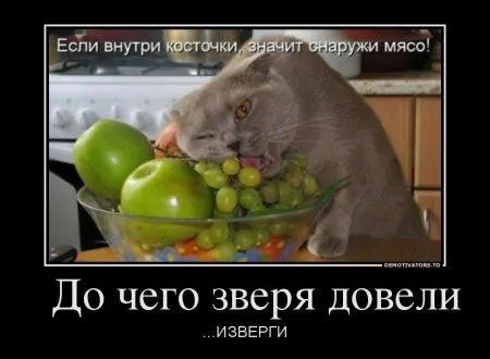 Демки просто бемки