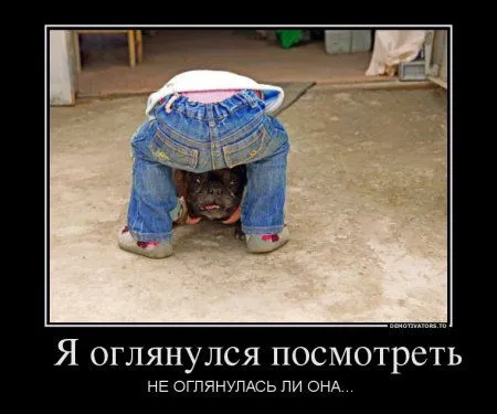 Демки просто бемки