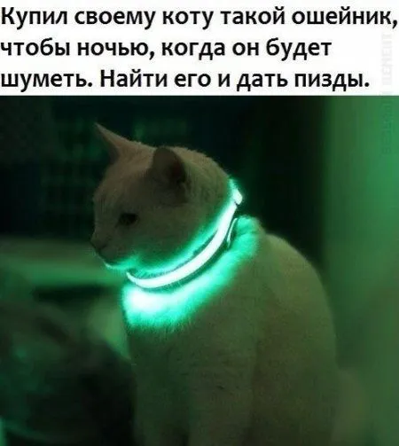 Мега подборка фотоприколов Мега подборка фотоприколов