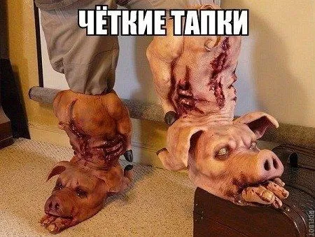 Мега подборка фотоприколов Мега подборка фотоприколов