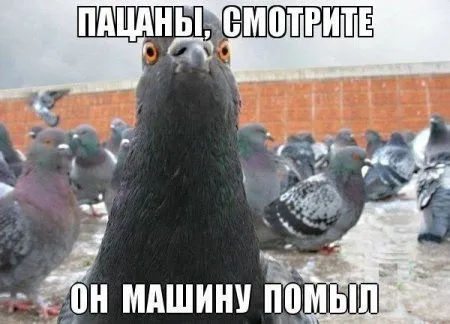 Мега подборка фотоприколов Мега подборка фотоприколов