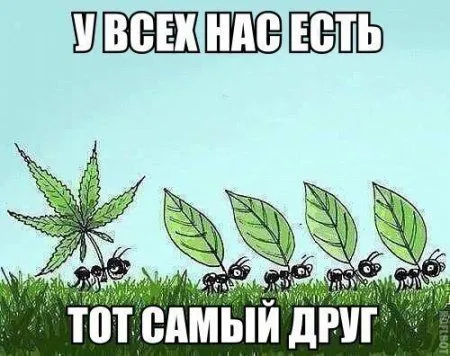 Мега подборка фотоприколов Мега подборка фотоприколов