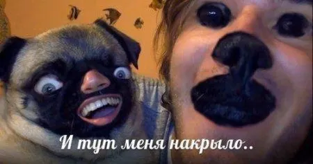 Мега подборка фотоприколов Мега подборка фотоприколов