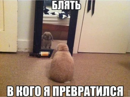 Мега подборка фотоприколов Мега подборка фотоприколов