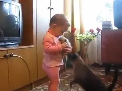 Кошка спасает котёнка от ребёнка
