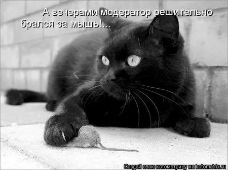 И снова котоматрицы И снова котоматрицы